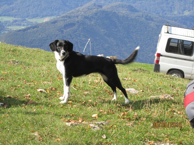 Slowenien 2010_78.JPG